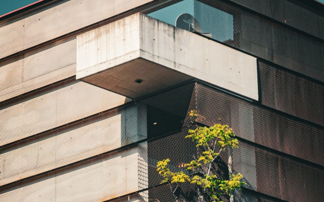 Diversity in God’s World