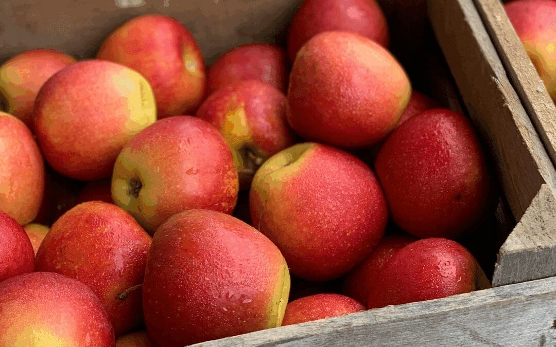 Recovering Christian Realism in “Terrifying Times”