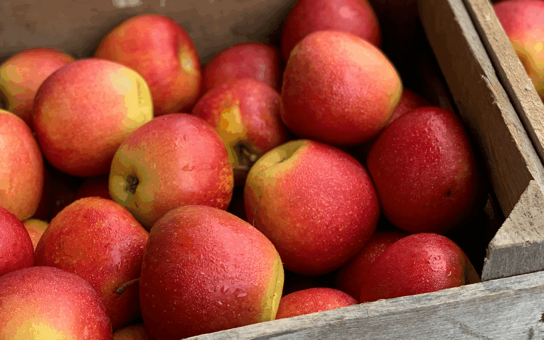 Recovering Christian Realism in “Terrifying Times”