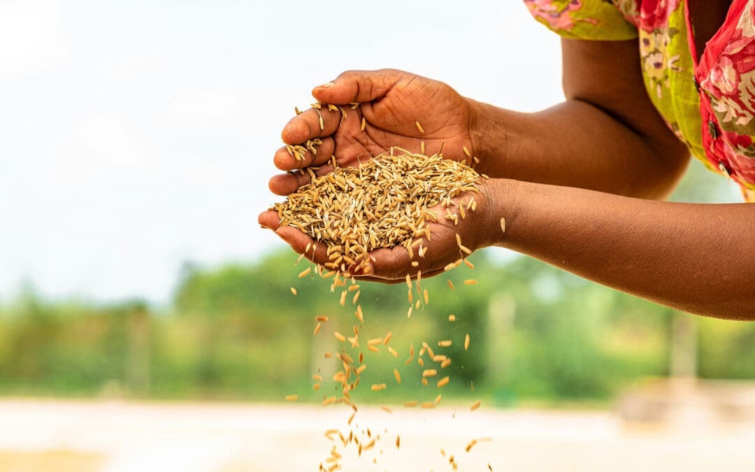 Overseas Development Assistance: Reinforcing Success