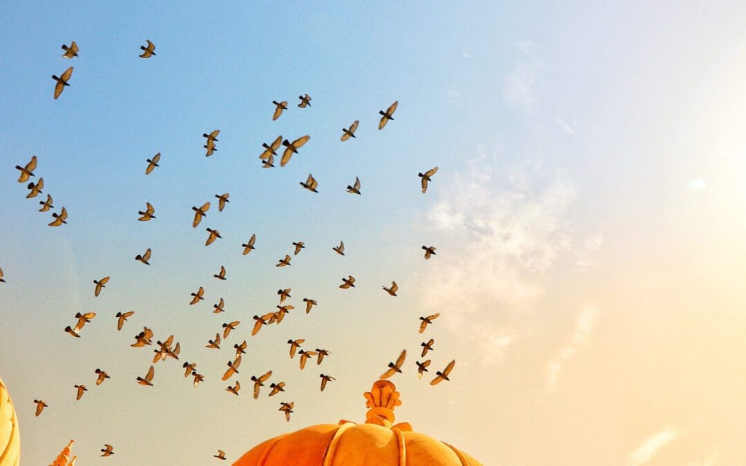 Impressions from an Emergent India