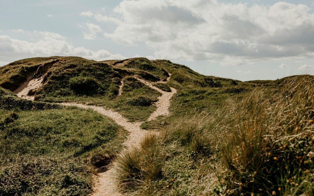 How Universal is Wisdom Literature?