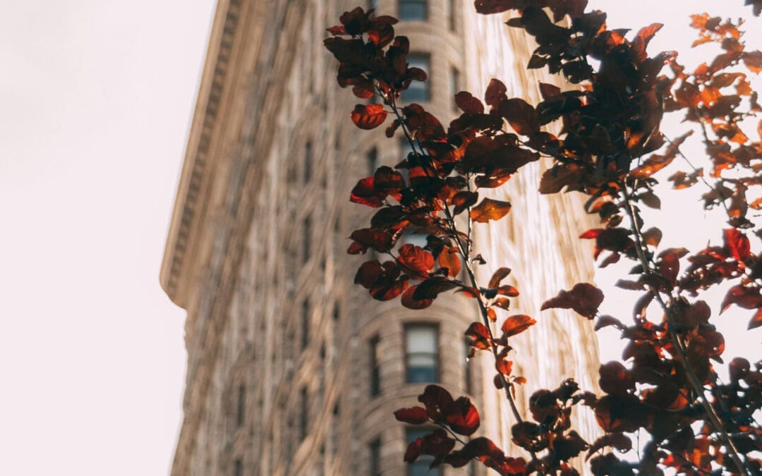 A Bridge Between City and Church