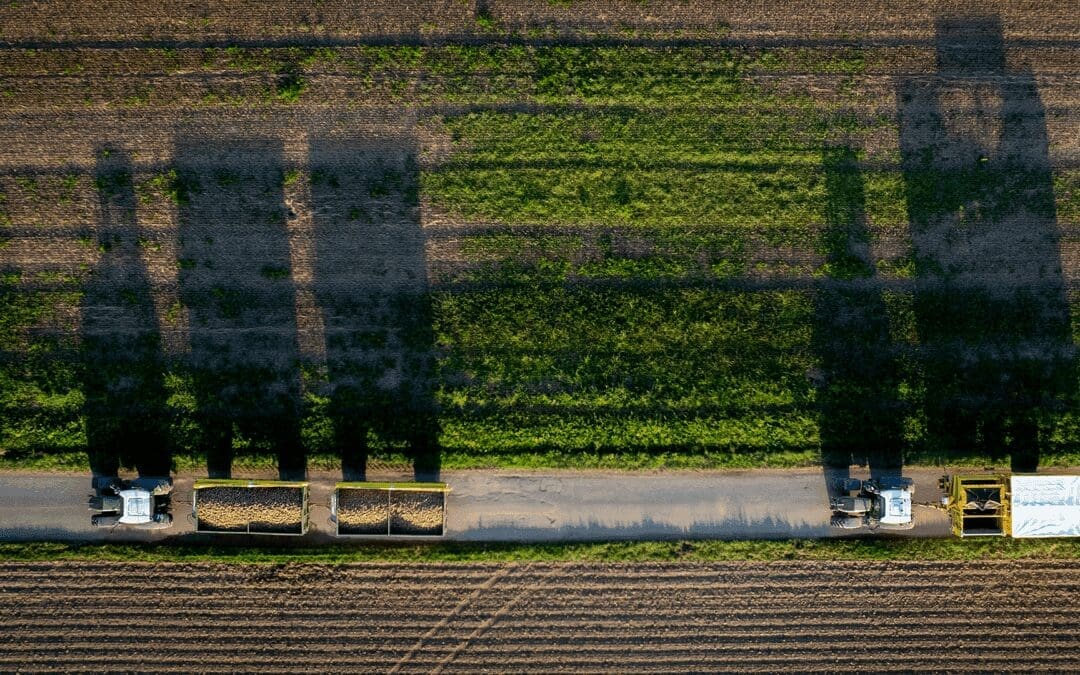 Straight Lines and Last Names: How to See Like a State