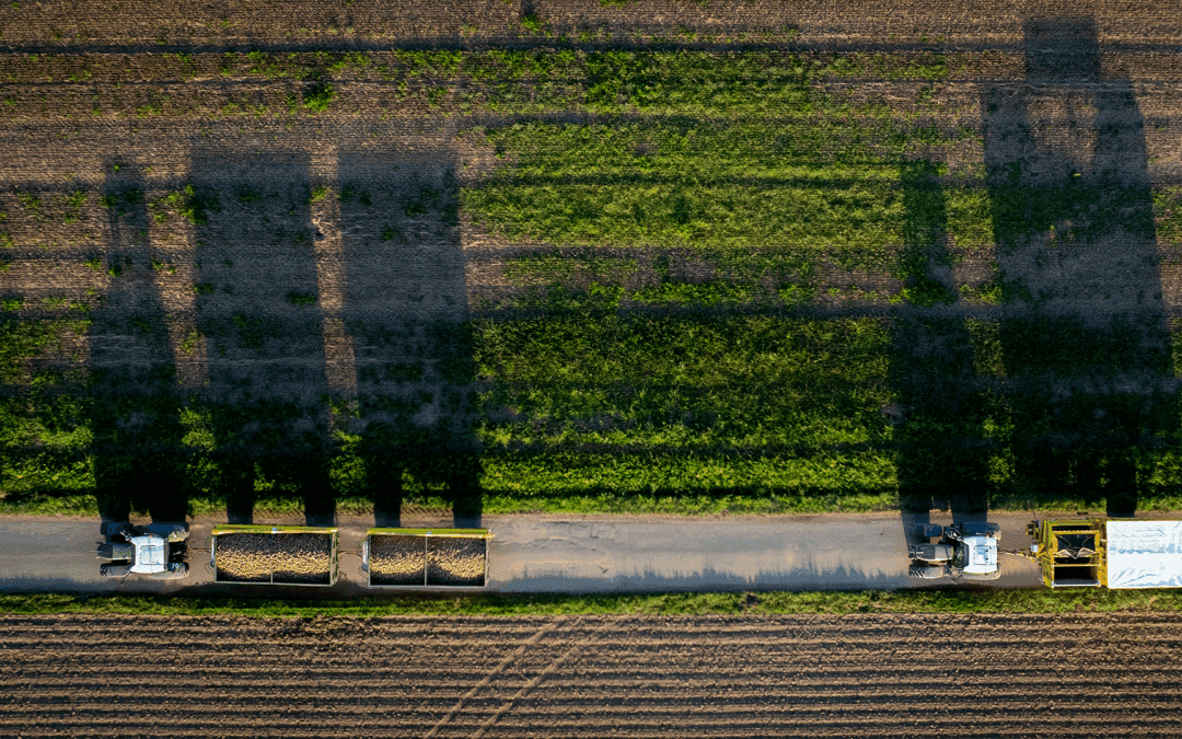 Straight Lines and Last Names: How to See Like a State