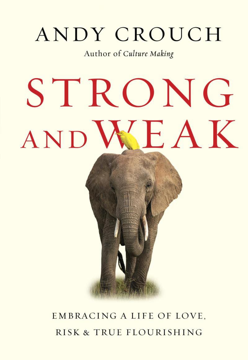 41btm4c6tuL._SX331_BO1,204,203,200_ Strong and Weak