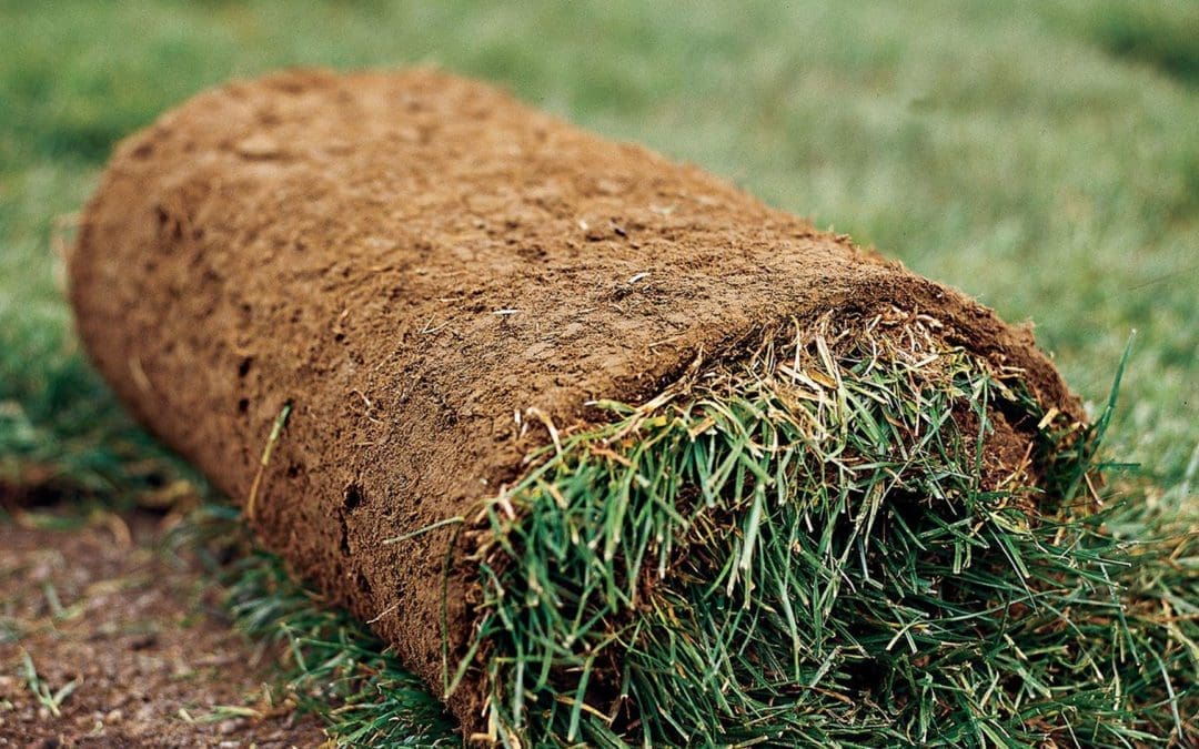 All the Lonely Workers