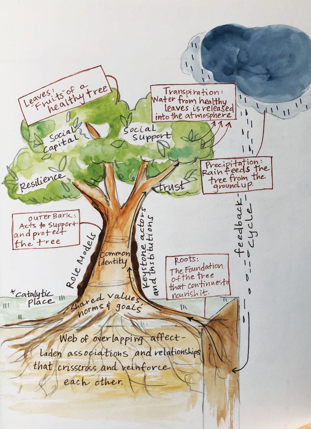 1659.large_.jpg What is community? An illustration.