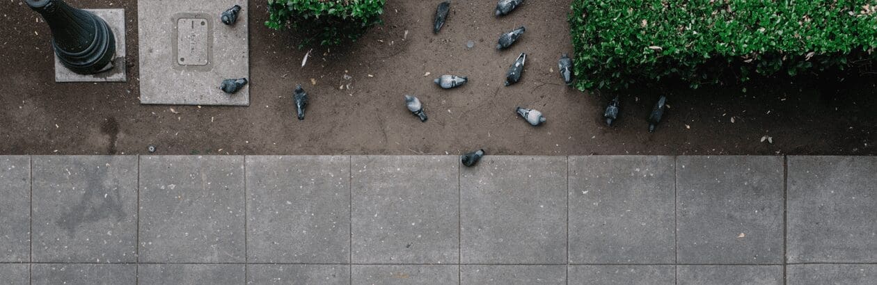 The Other Side of the Story