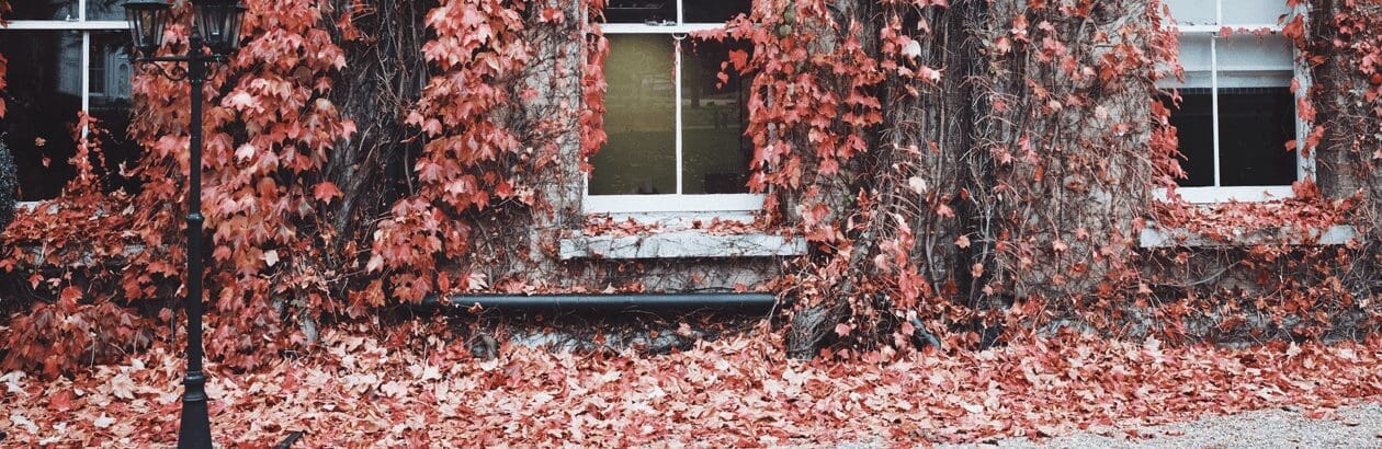 Building Cairns in the City