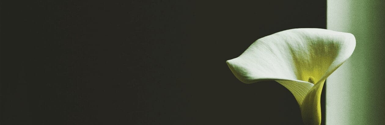 The Incarnation is Local: The Poetry of John Rybicki