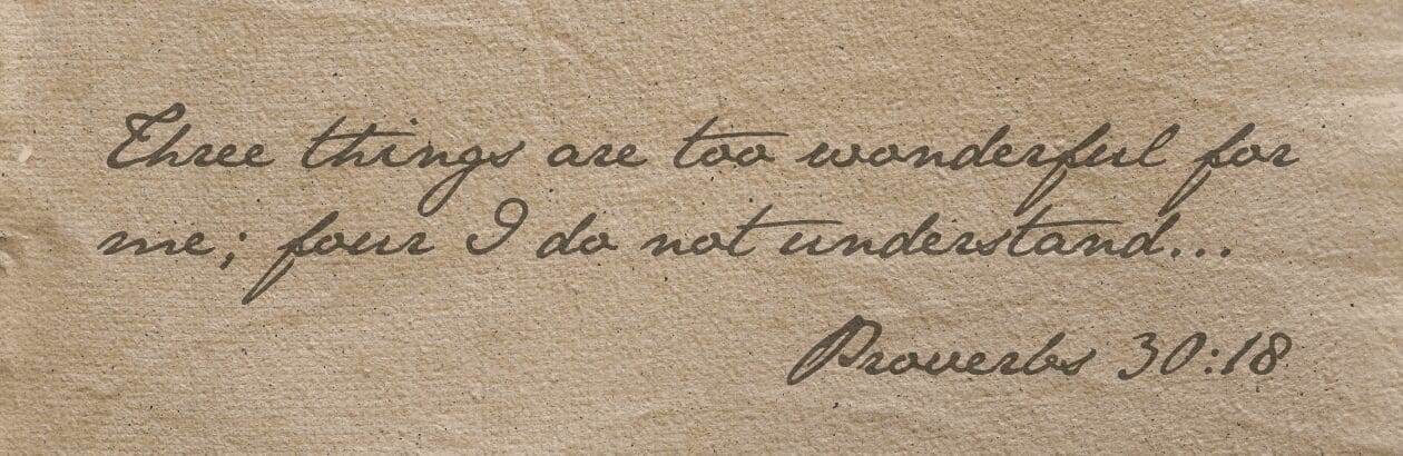 Agur and the American Election