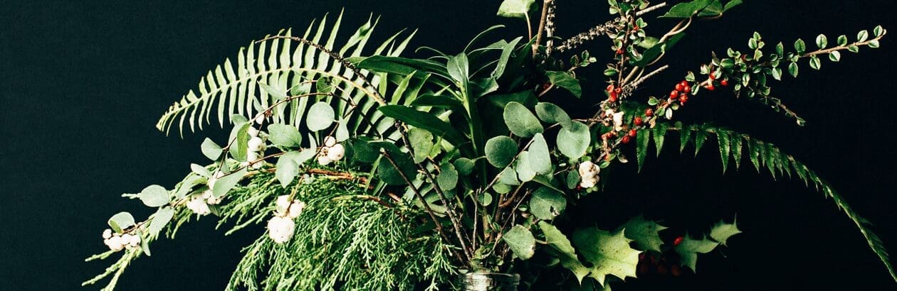 Collect for the Second Sunday of Advent