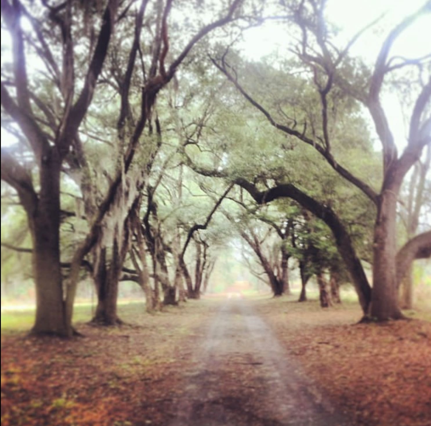 Driveway, Wantan, Photo by Author