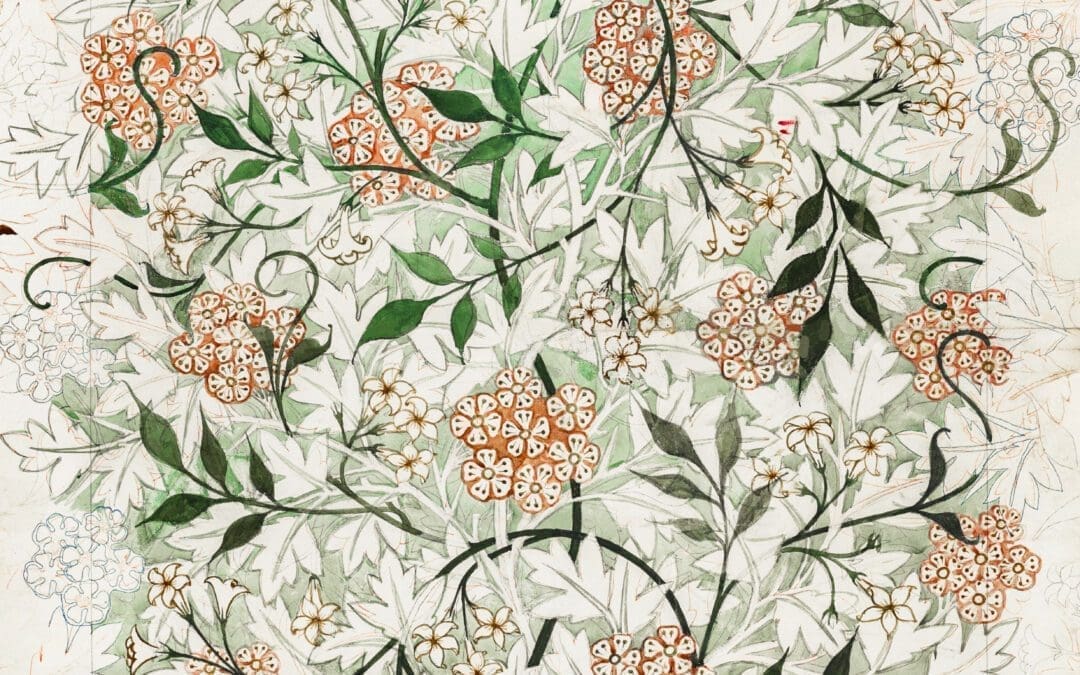 Rules for Passivists