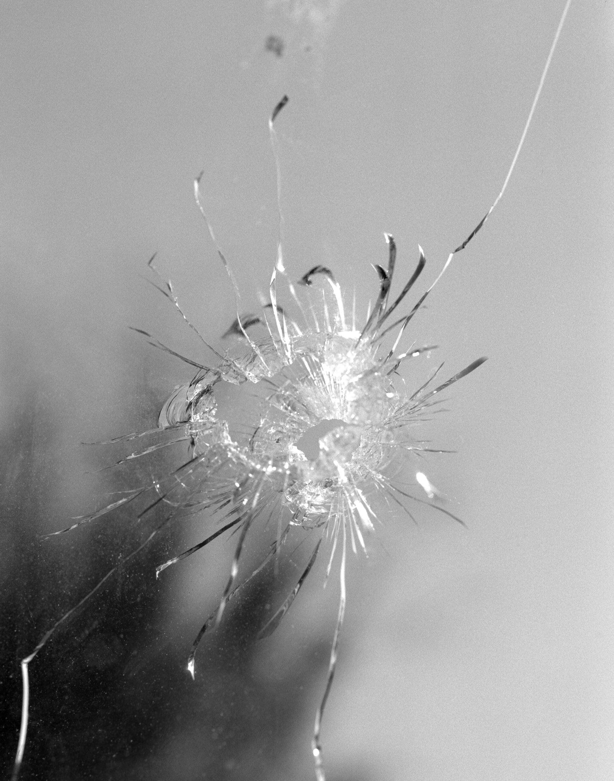 KodakTMax10020220420_03-positive