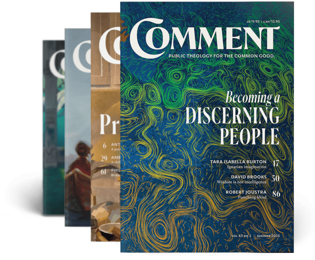Meet Anne Snyder Comment Magazine