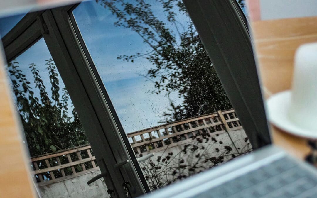 What Is the University For?