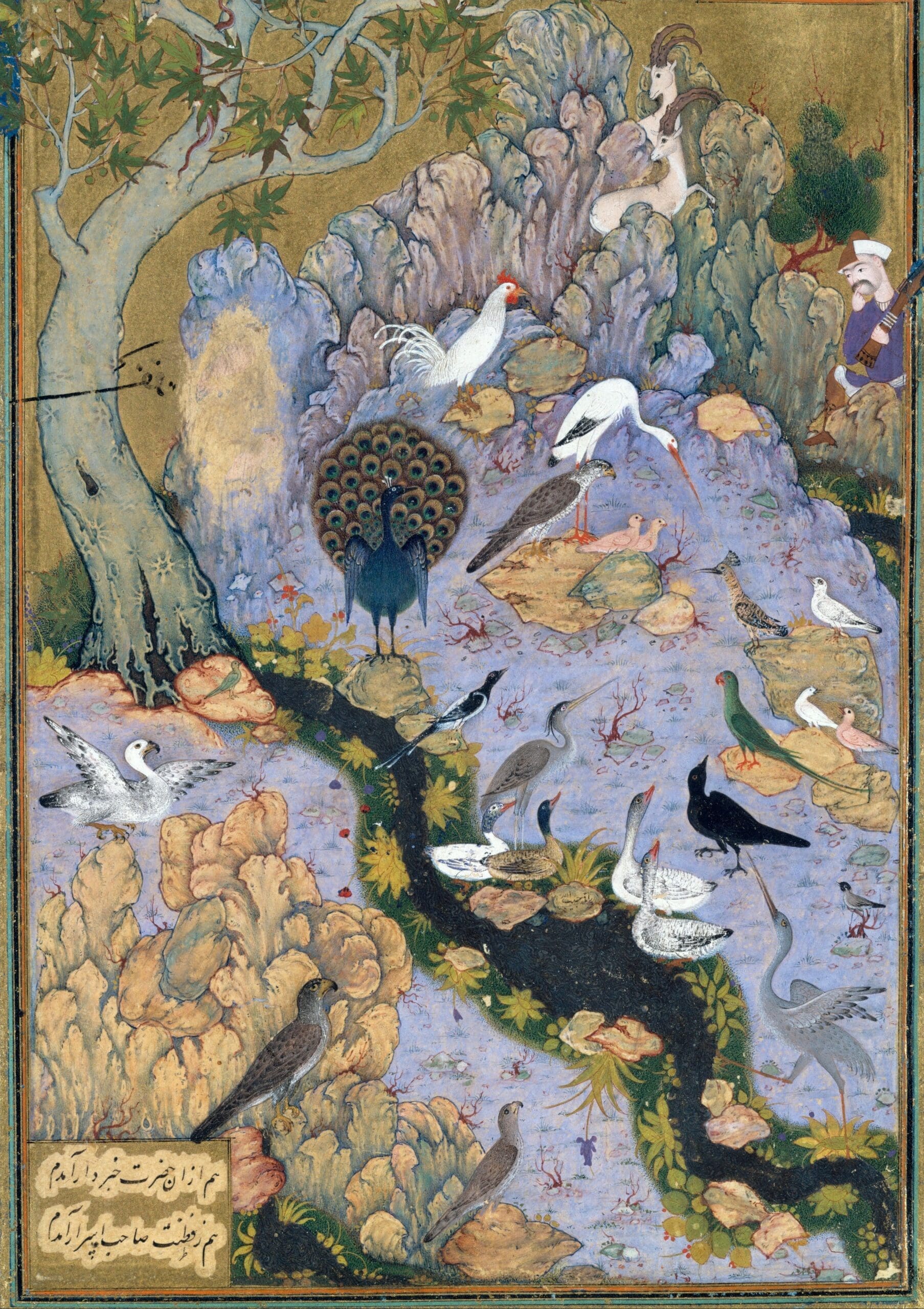 _The_Concourse_of_the_Birds_,_Folio_11r_from_a_Mantiq_al-tair_(Language_of_the_Birds)_MET_DT227734