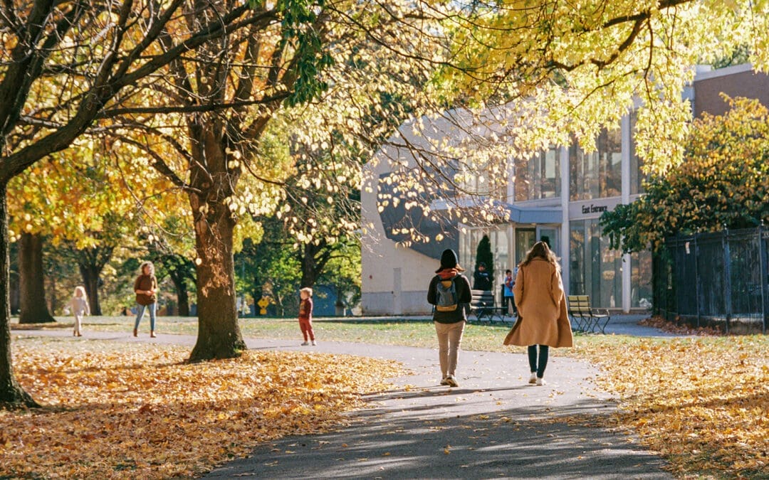 The Future of Higher Education