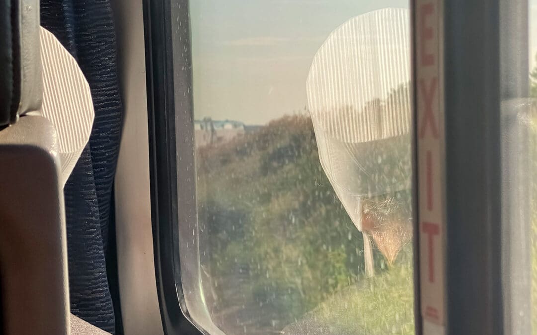 Removing the Head Covering