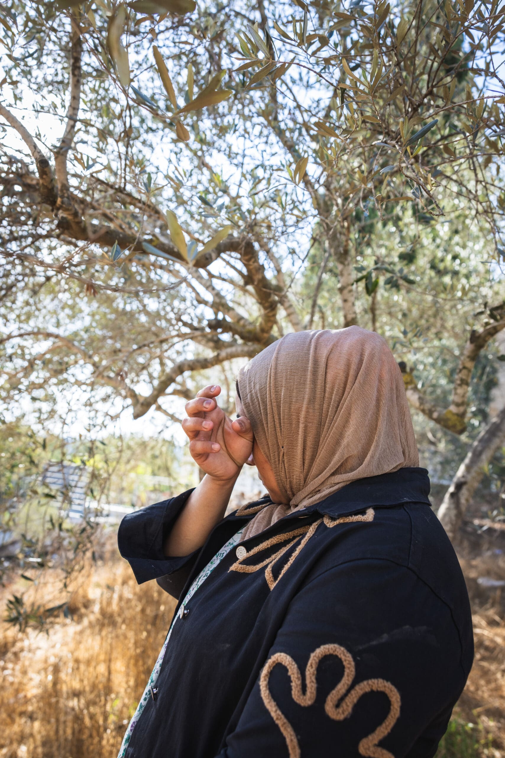 A woman wearing a tan hijab and dark coat stands under an olive tree, partially covering her face with her hand in a sunlit, outdoor setting. Dry grass and tree branches are visible in the background.