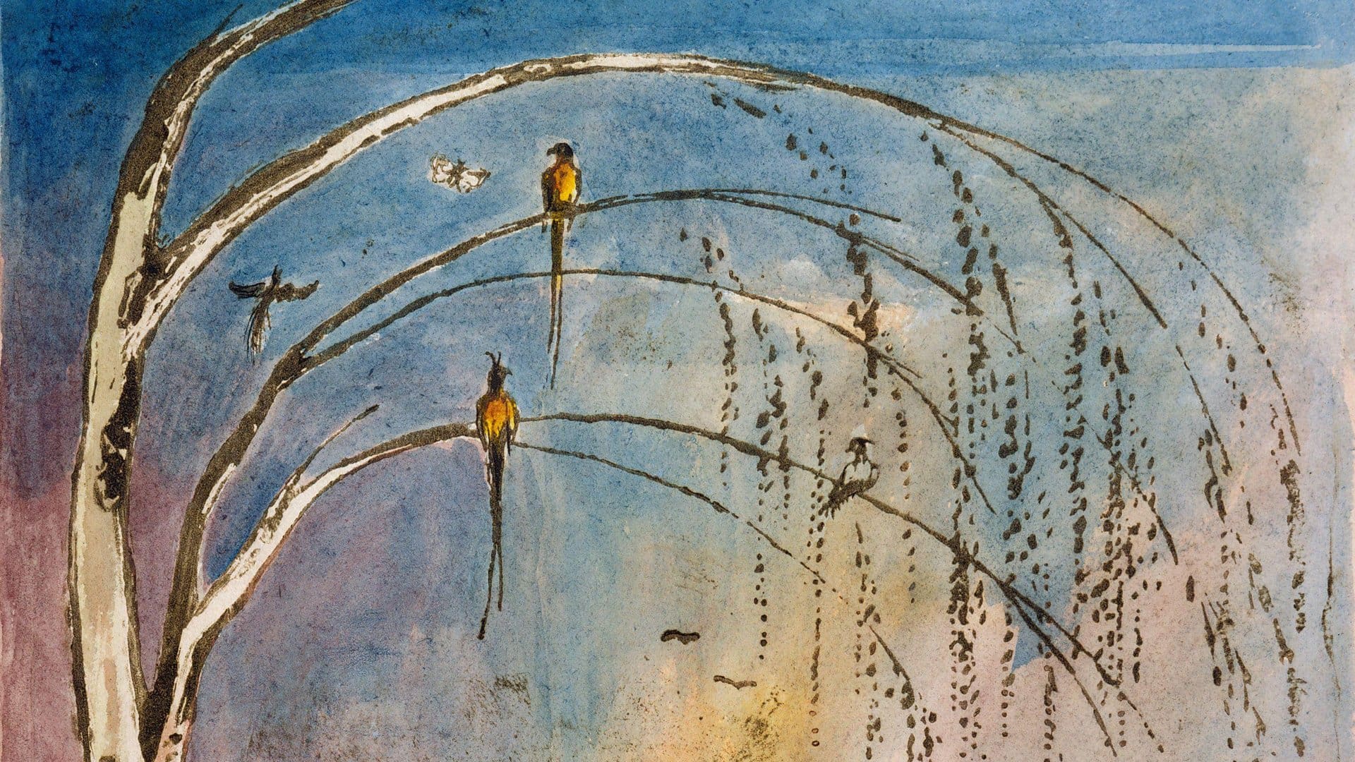 Watercolor painting of birds perched on slender, arching branches of a tree against a blue and light brown sky. The branches have sparse, hanging leaves and a butterfly flies nearby.