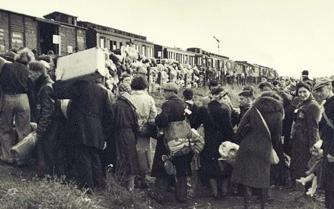 Denial and the Evasion of Empathy