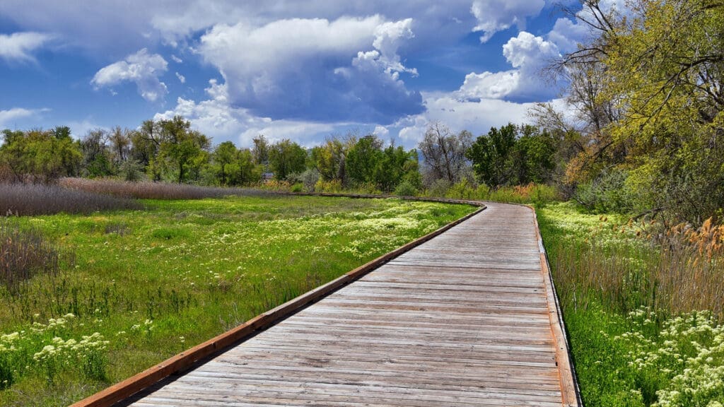 A wooden boardwalk winds through a lush green meadow with wildflowers, surrounded by trees under a blue sky filled with dramatic white clouds.