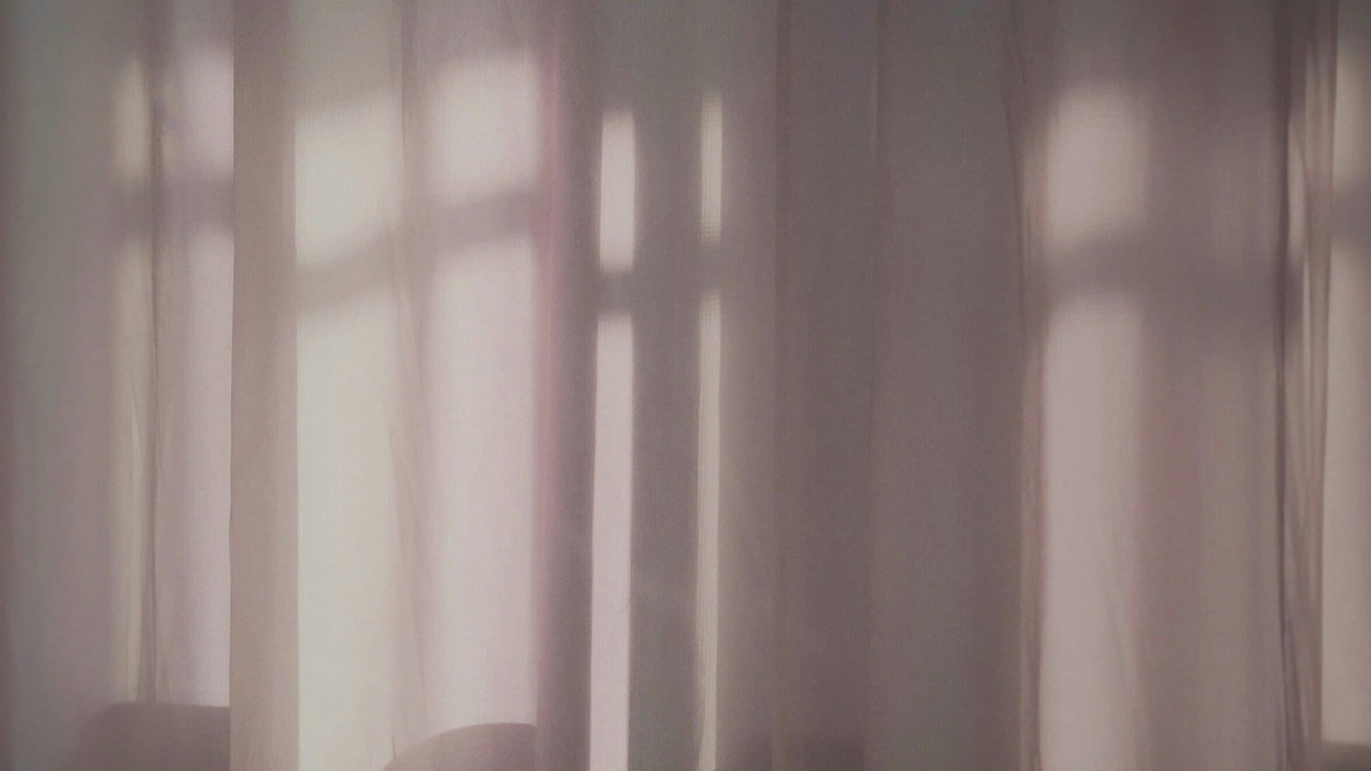 Soft sunlight filters through sheer curtains, casting gentle shadows and rectangular patterns on the fabric and wall, creating a calm and dreamy atmosphere.