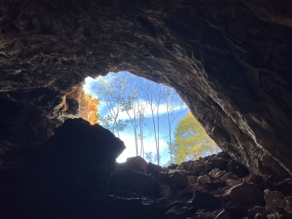 View from inside a dark cave looking out toward a bright blue sky, with trees and some autumn foliage visible at the entrance. Sunlight illuminates the rocky cave opening and silhouettes the trees.