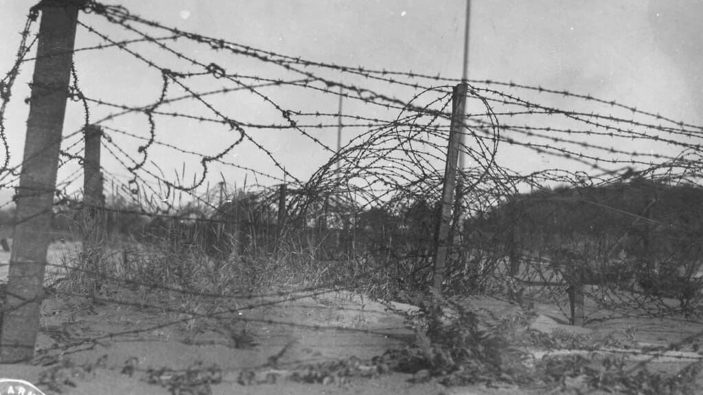 Black and white photo of tangled barbed wire fencing on posts, with overgrown grass and vegetation beneath, and blurred trees in the background under a cloudy sky.