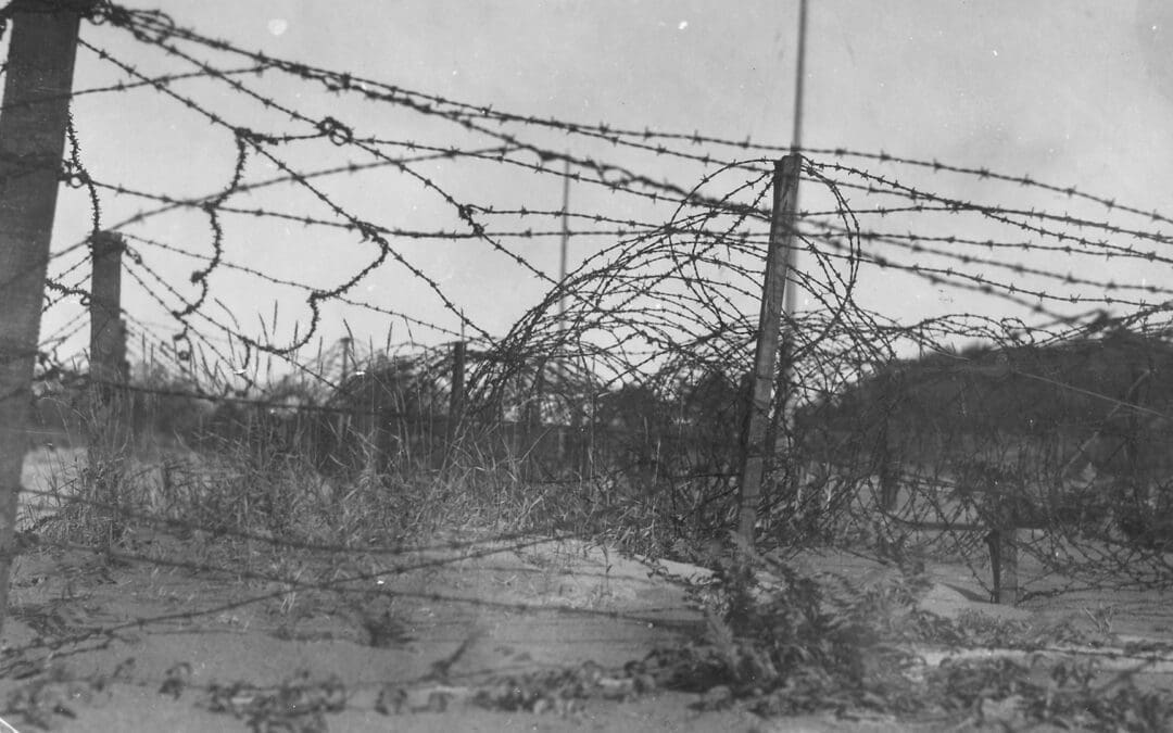 Hitler, Jesus, and the Culture War